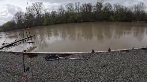 Do Rigs Work_...Fishing Show Season 3 Ep.4