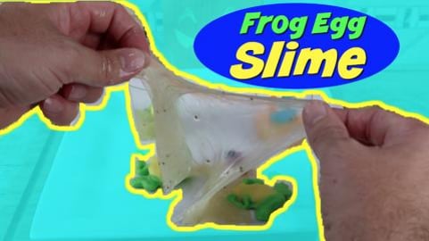 Edible Frog Egg Slime
