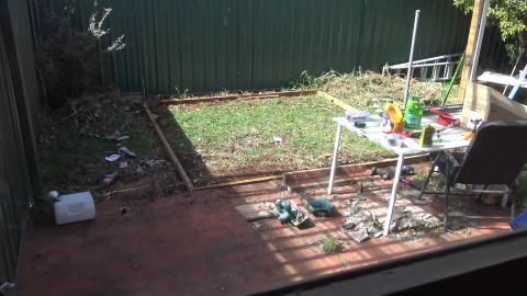 Every man needs a shed. Husky & malamute check it out.