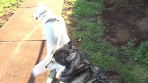 Lots of construction going on