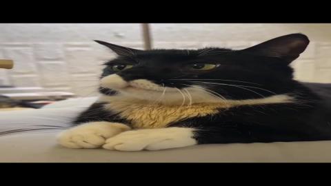 Here comes the treat!