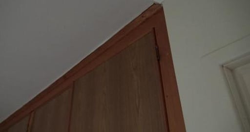 New plants, hot rods and something dead