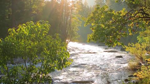 Washed in August Glow Beautiful Relaxing Music, Peaceful ...