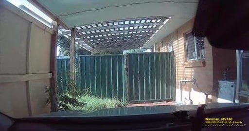 Lets Drive - Snow dogs want to go hike