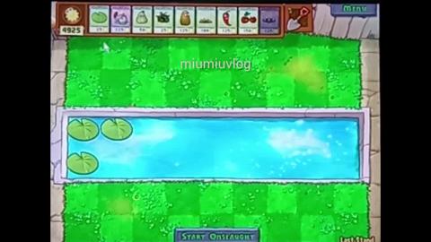 Plants vs Zombies Last Stand GamePlay