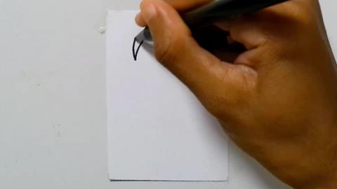 Drawing tatto v195 2025