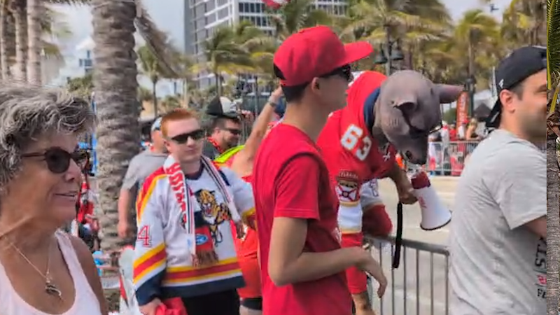 Fans gather to cheer on Florida Panthers at championship parade