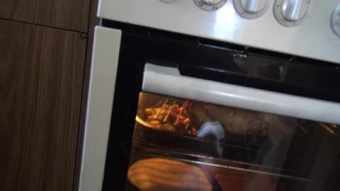Baking my first ever chicken. What does a Husky think?