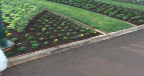 Town is getting ready for the Flower Festival & Carnival