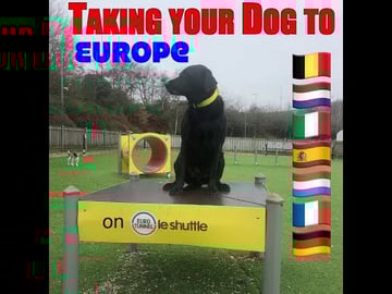 How to Take your dog abroad with a Pet Passport - via Eur...
