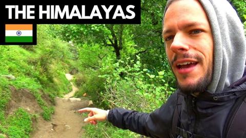 THE HIMALAYAS - JOURNEY TO TOSH - India Travel Vlog