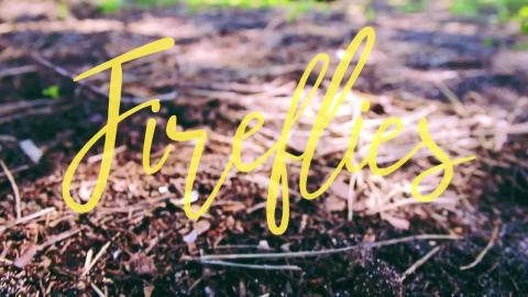 “Fireflies” ~Official Music Video 