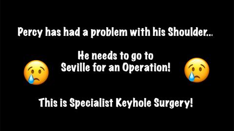 Percy The Labrador Needs to have an Operation