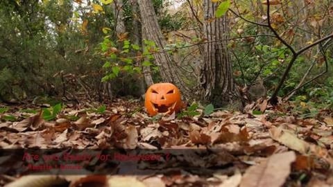 Are you Ready for Halloween? (shorts)