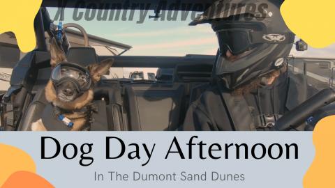 Dune Dog riding in the Sand Dunes