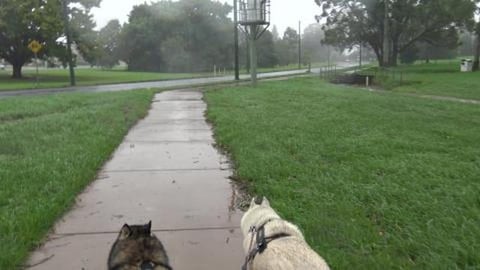 We are surrounded by floods but that won't stop us from t...