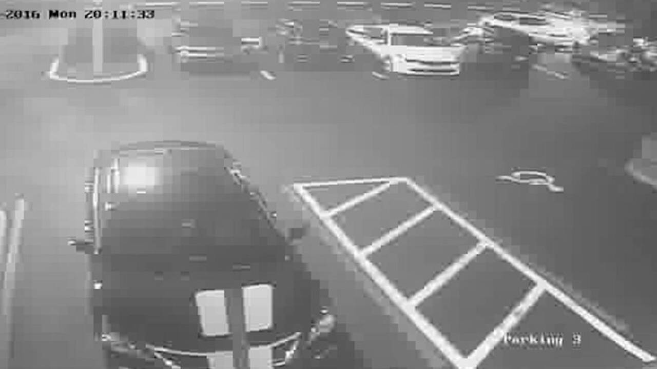 Suspected car burglars caught on tape in Weston | Miami Herald