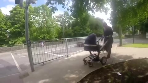 Smart Dog Helps Mom With Traffic Lights
