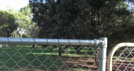 Visiting dog park & playing with 2 furends.