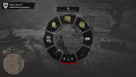 Red Dead Online Gameplay 999