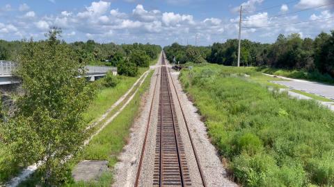 Amtrak Train from Overpass