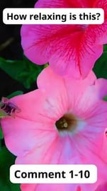 Take a Break: Discover How Relaxing This is! Volume 72  #...