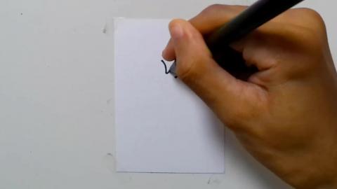 Drawing tatto v36 2024 shorts