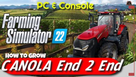 How to Grow Canola End to End Farming Simulator 22