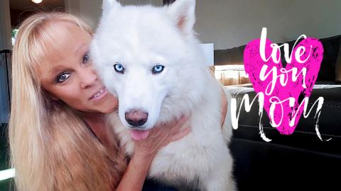Husky Loves Mommy This Much