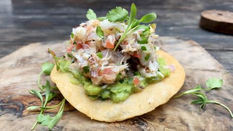 No Doggie Bag Needed