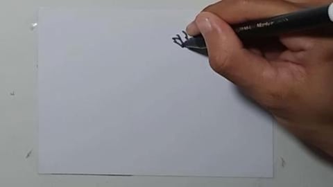 Drawing Graffity Character LION MASKOT