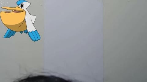 Drawing Pokemon pelipper