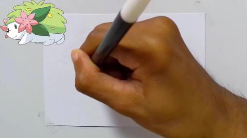 Draw Pokemon shaymin shorts