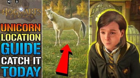 Hogwarts Legacy: Unicorn Location GUIDE! How To Get A "Un...