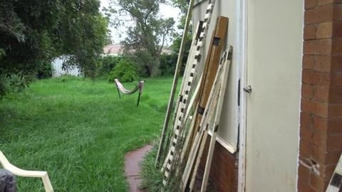 Rainy day due to an ex cyclone but Wolf doesn't care