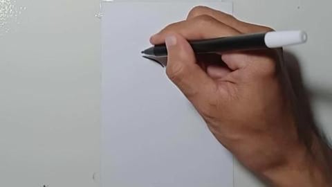 Drawing FREZER Shorts