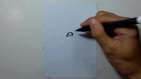 Drawing Crocodile Pirate Graffiti shorts