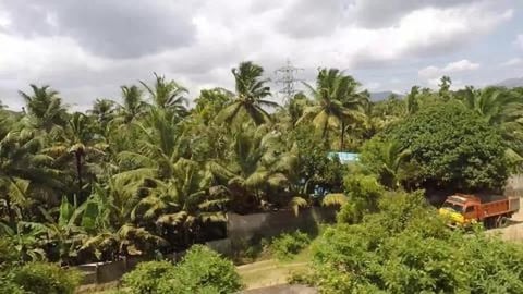 Train Cruising Past Coconut & Banana Trees | Tamil Nadu