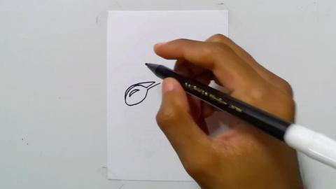 Drawing pirate-skull-with-hat-eye-patch shorts