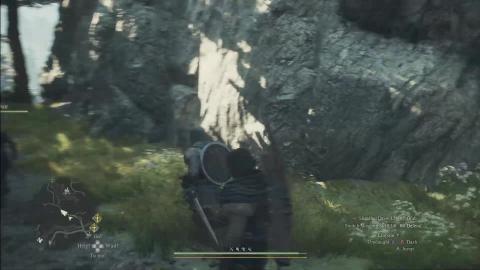 Dragon's Dogma 2, Bob Ross style 8