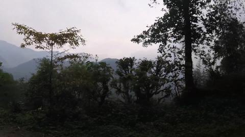 Rain Seems Inevitable | West Sikkim