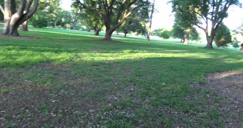 Nice walk nearly a tragedy off leash dog ran up too Tikaa...