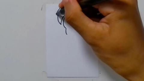 Drawing tatto v101 2024 shorts
