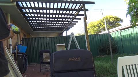 Husky & Malamute supervise verandah roof repairs