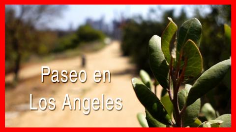 Hanging arround at Los Angeles (B-ROLL - Cinematic Footag...