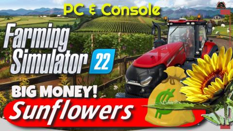 Big Money with Sunflowers Farming Simulator 22