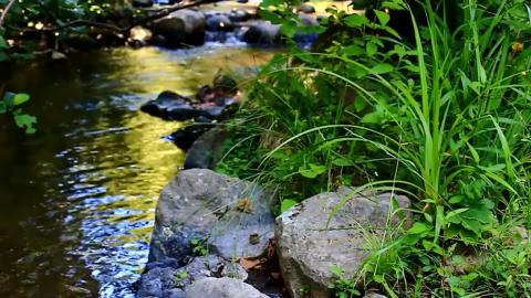 Meditation-Music Video Nature At-Its Best time