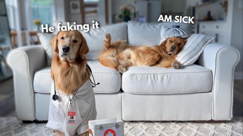 Somebody Call a Doctor!