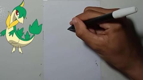 Drawing Pokemon servine
