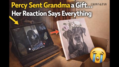 Percy Sent Grandma a Gift… Her Reaction Says Everything...